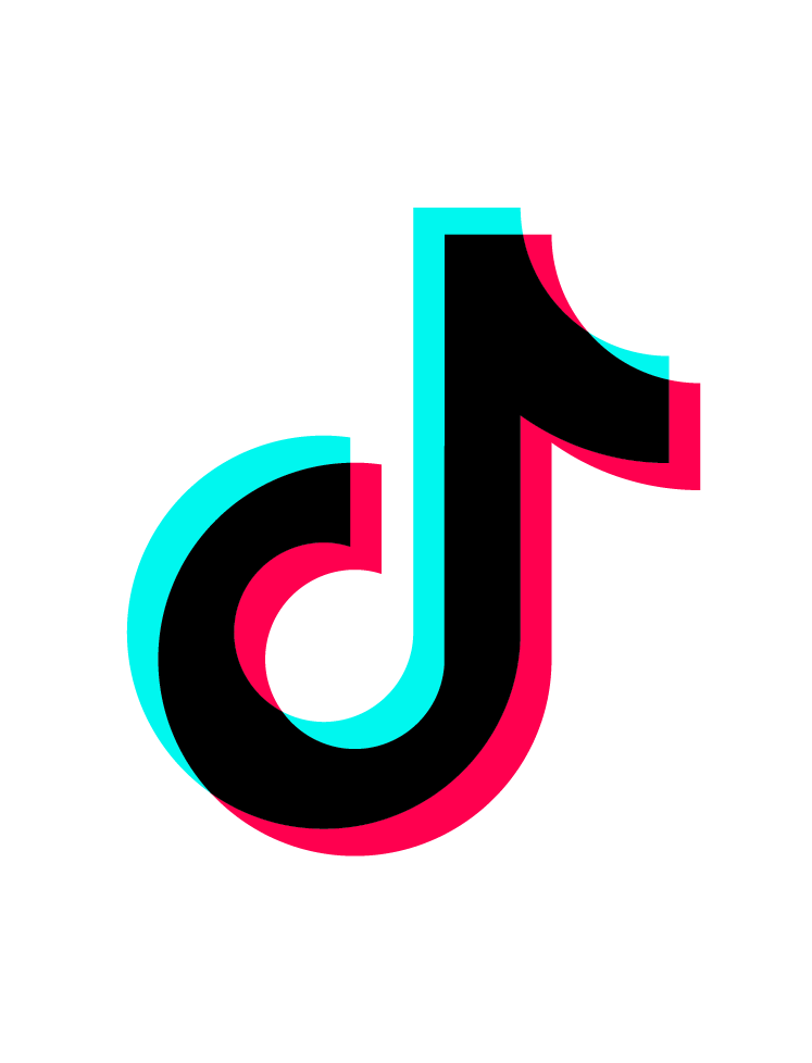 TikTok Icon